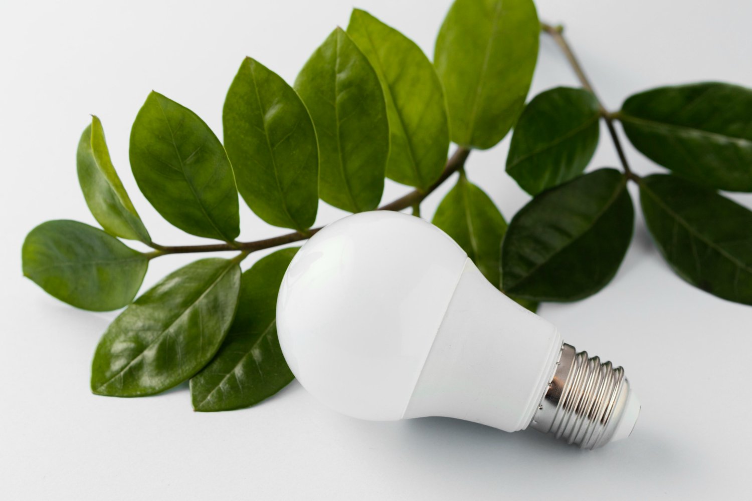 led ecoresponsable, ecoboutic
